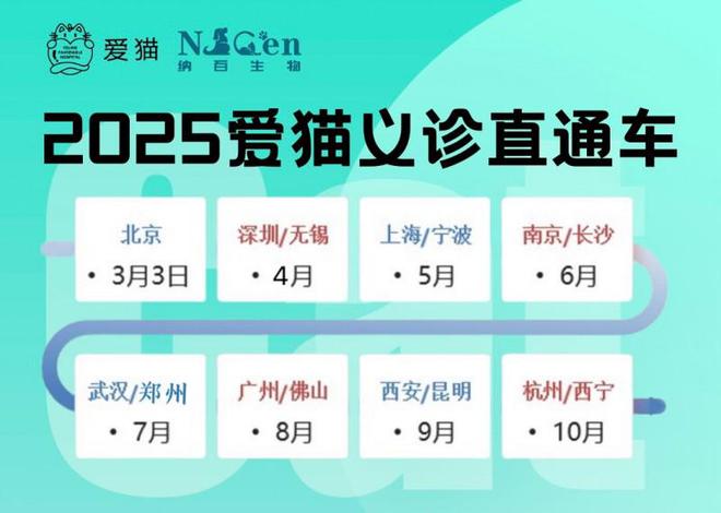 车深圳站：专业的猫咪健康守护行动开元棋牌app新瑞鹏爱猫义诊直通(图3)